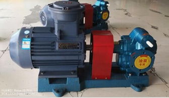 娄底市齿轮泵优质无泄漏齿轮泵认证产品